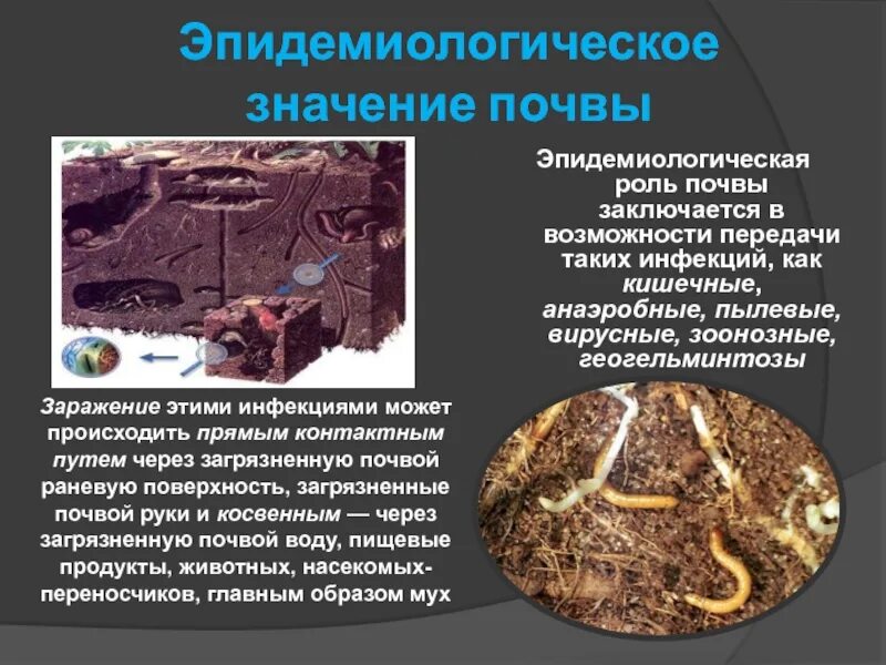 Роль почвы. Роль почвы