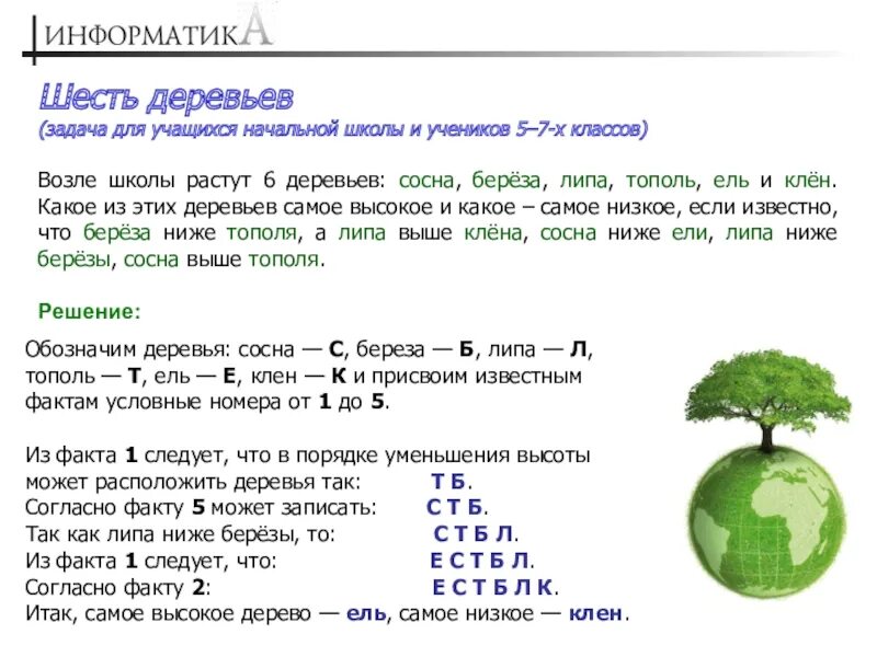 Школьники должны были посадить 200 деревьев они. Возле школы растут 6 деревьев сосна береза. Задачи дерево Информатика. Возле школы растут шесть деревьев. Задачи по информатике с деревьями.