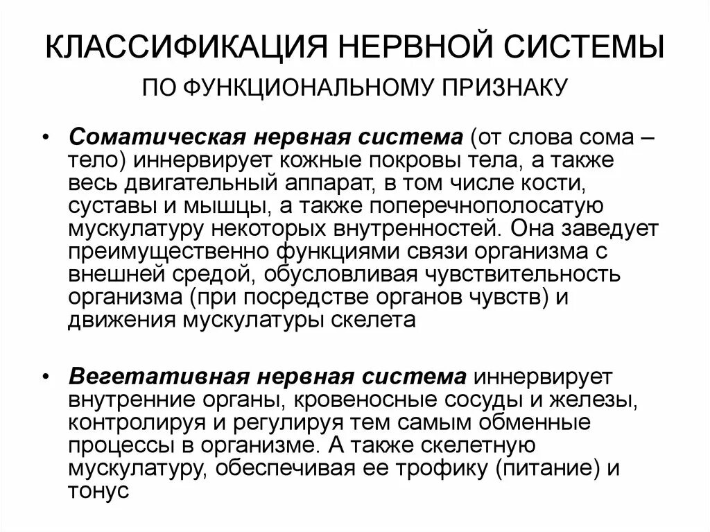 Картинки НЕРВНАЯ СИСТЕМА КЛАССИФИКАЦИЯ