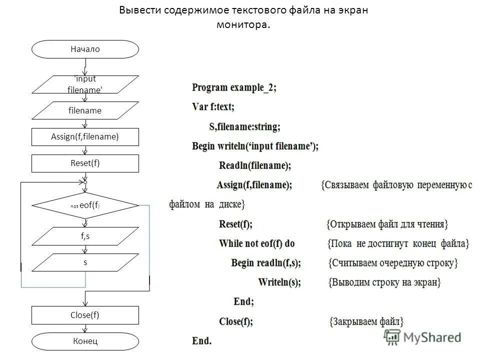 Вывод содержимого файла на экран. Real integer разница Паскаль. Структура вывод содержимого файла на экран.