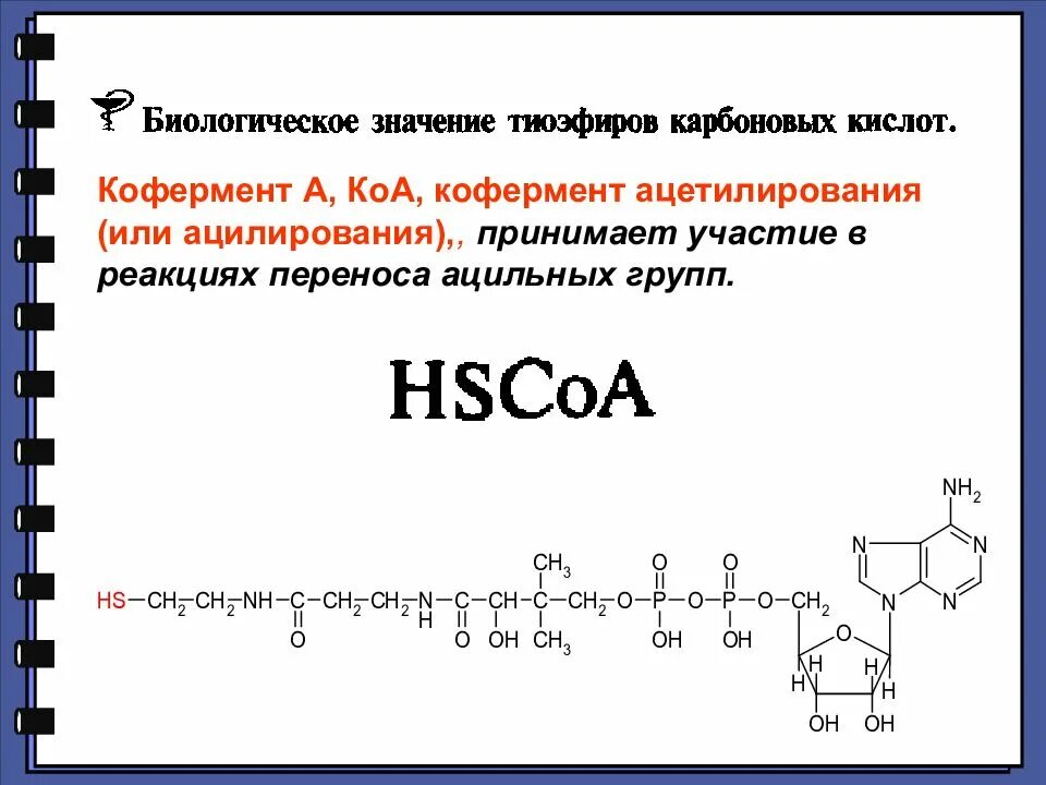 Кофермент КОА формула. Коэнзим а (KОA) принимает участие в переносе группы:. Строение кофермента КОА. Коэнзим а структура и функции. Коа формула