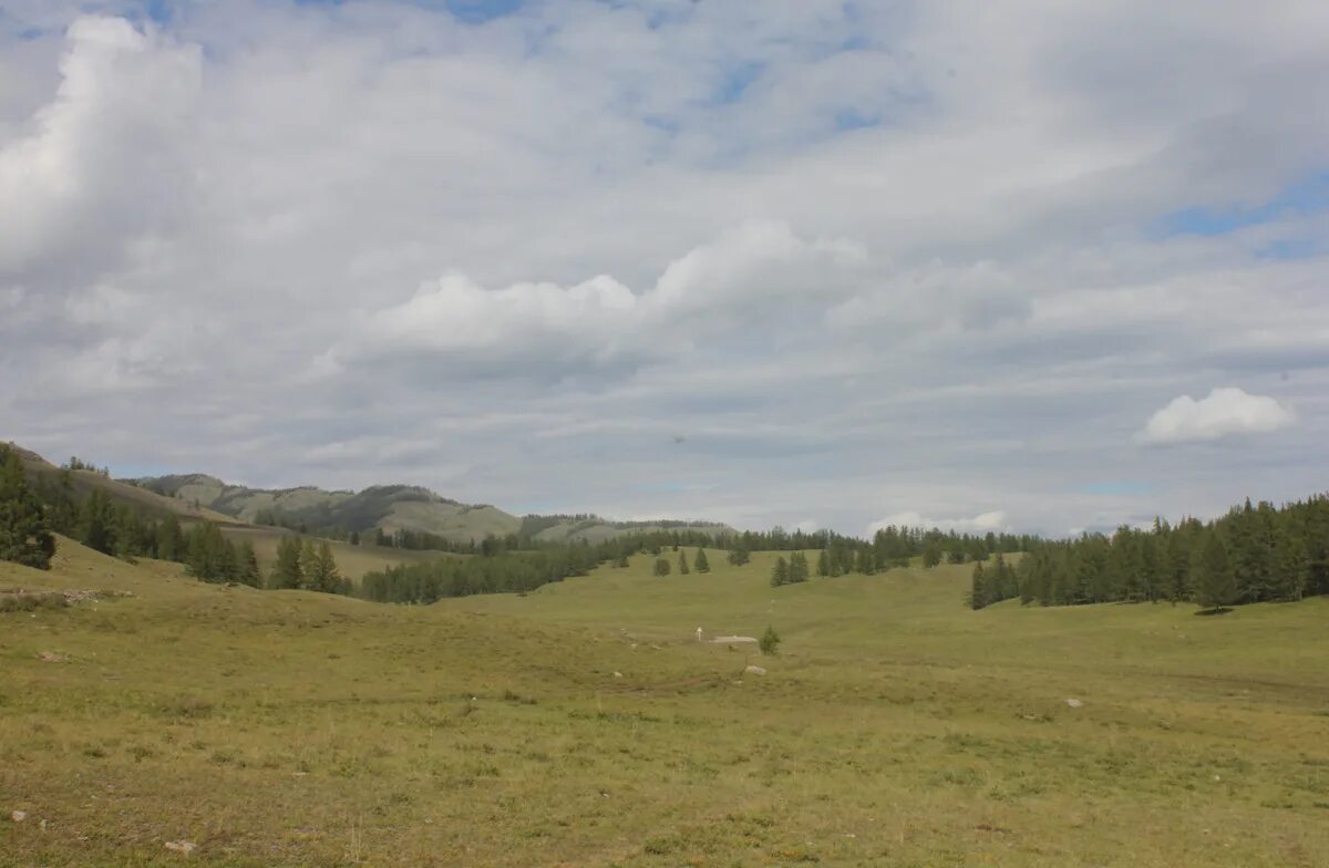 Урочище Пазырык. Пазырыкские Курганы горный Алтай. Пазырыка Кая культура горный Алтай. Пазырыкские Курганы Улаганского района.