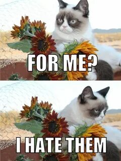 I ate them