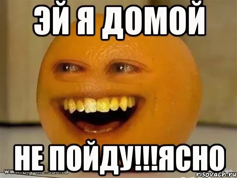 Грин апельсин я у мамы дура. Апельсин Мем. Я апельсин. Я люблю апельсины. Надоедливый апельсин Мем.