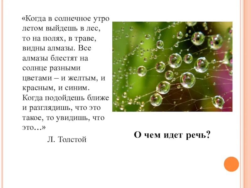 Когда в солнечное утро летом пойдешь. Когда в солнечное утро летом пойдешь в лес то. Когда в солнечное утро пойдем в лес то на полях в траве видим Алмазы. Солнечным утром в траве на полях видны Алмазы эти Алмазы.