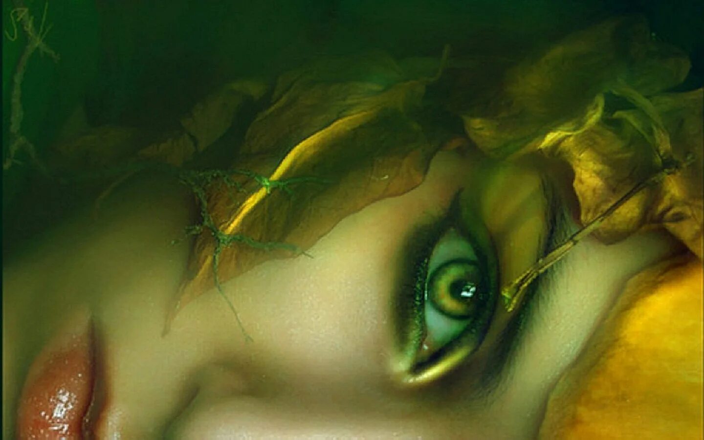 Ведьма с зелеными глазами. Красивые фэнтези глаза. Чудовище с зелеными глазами. Девушка с зелеными глазами картина. Волшебные слезки