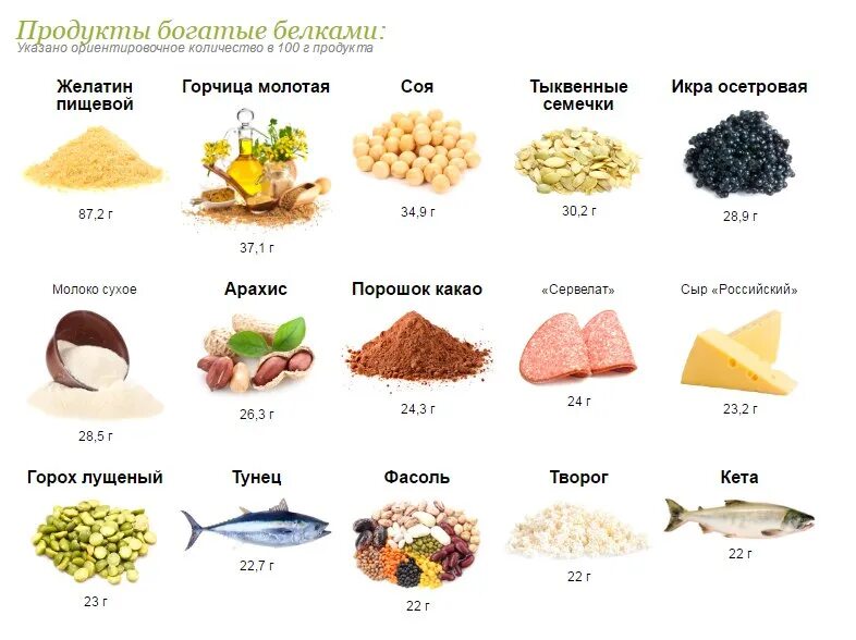 Продукты с высоким содержанием белка для набора мышечной массы. Где содержится белок таблица. В каких продуктах содержится много белка для мышц. Продукты с высоким содержанием белка. В каких овощах много белков