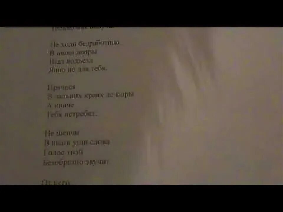 Песни люберцы спят давно. Кошка чашка Муха и лапоть. Бутусов кошка и чашка. Чашка кошка Муха и лапоть аккорды вступление.