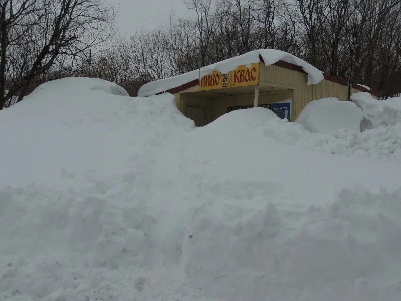 Камчатку занесло снегом. Дом занесло снегом. Магазин в снегу. Остановку которую занесло снегом.