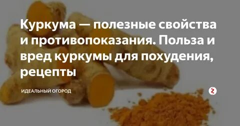 Куркума противопоказания для женщин