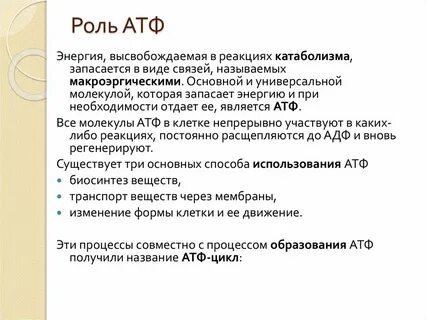 Атф участвует