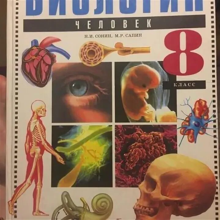 Сонин Сапин биология 8. Сонин н.и., Сапин м.р. биология. Человек. 8 Кл.. Сонин Сапин биология 2004. Биология 8 класс человек Сонин Сапин. Биология 9 сапин сонин