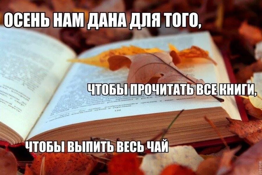 Вроде той книги. Цитаты про осень и книги. Книги осень высказывание. Фразы про книги. Осеннее чтение книг высказывания.