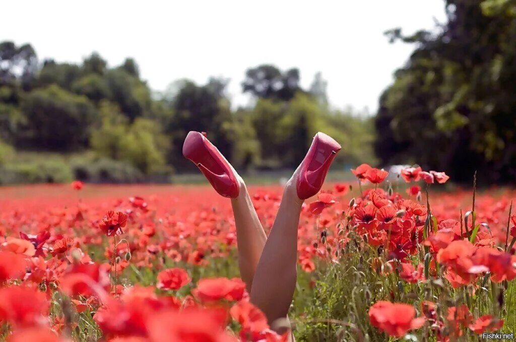 Life is a flower. Ноги и цветы. Ноги в маках. Лето. Женские ноги и цветы.