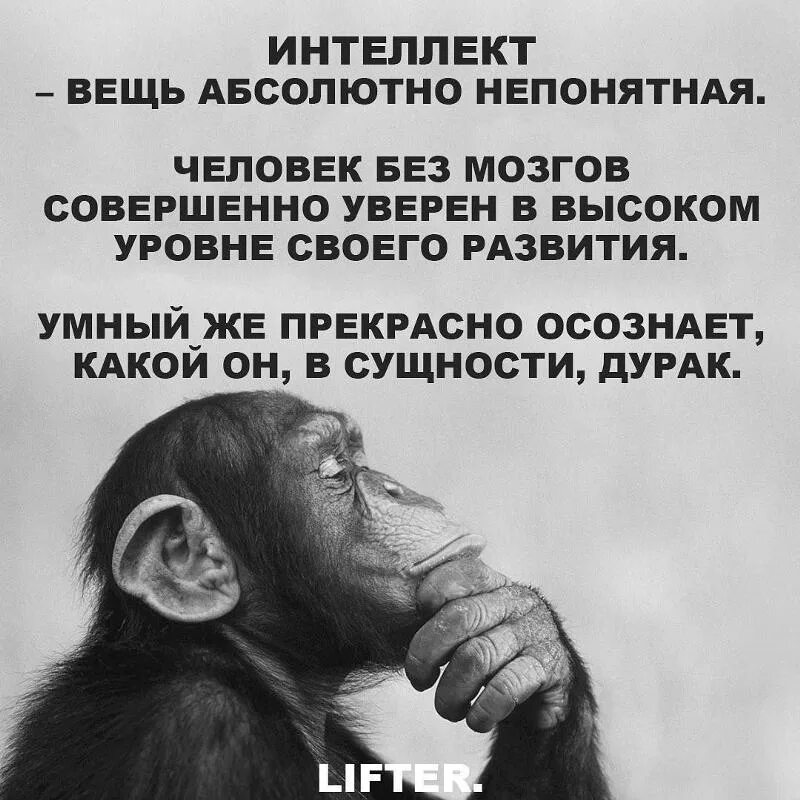 Высказывания умный и дурак. Самый умный демотиватор. Когда дурак умен бывает. Высказывания умный и дурак. Умный любит учиться а дурак учить автор.