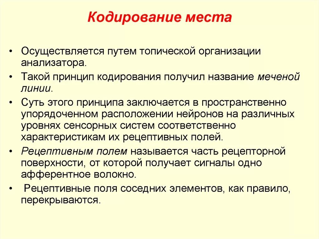 К принципам организации сенсорных систем можно отнести. К принципам организации сенсорных систем можно отнести