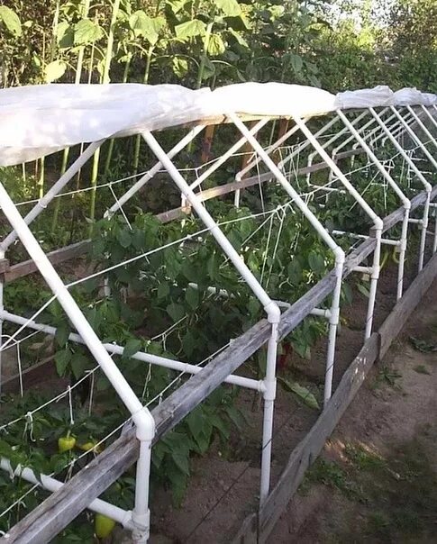 Крыша теплицы из трубы. Теплица из пластиковых труб. парник из полипропиленовых труб. парники и теплицы из полипропиленовых труб. теплица из пропиленовых труб.