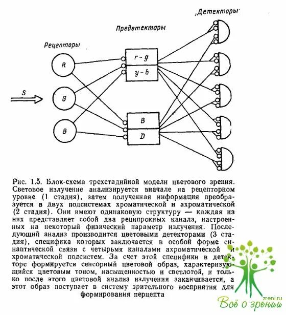 В чем состоит специфика прямого телевидения. Нейроны детекторы. Нейроны детекторы внимания. Нейроны детекторы примеры. Как различаются Нейроны-детекторы по своим функциям?.