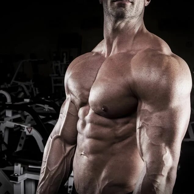 Building your body