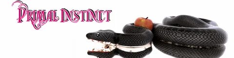 Primal Instinct Snake banner.png 