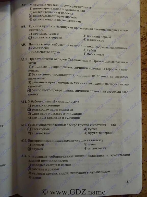 Контрольная по теме беспозвоночные. Контрольная работа по беспозвоночным 7 класс с ответами. Беспозвоночные животные 7 класс биология контрольная работа. Тест пищеварительная система 7 класс латюшин. Контрольная работа беспозвоночные животные 7 класс 2 вариант.