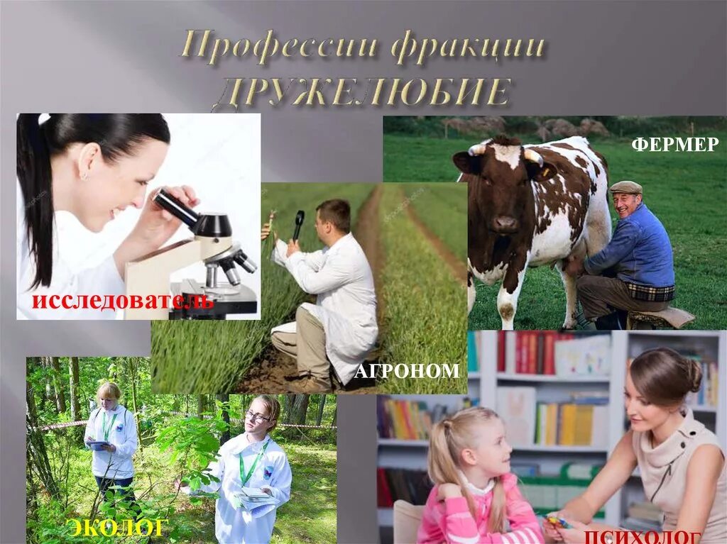 Какую профессию выполняет агроном. Агроном профессия. агроном эколог. рекламная брошюра профессии агроном. профессия агроном описание профессии.