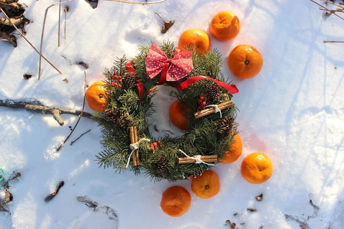 зима мандарины снег. мандарины новый год. зимние фрукты. апельсины зимой. мандарины зимой.