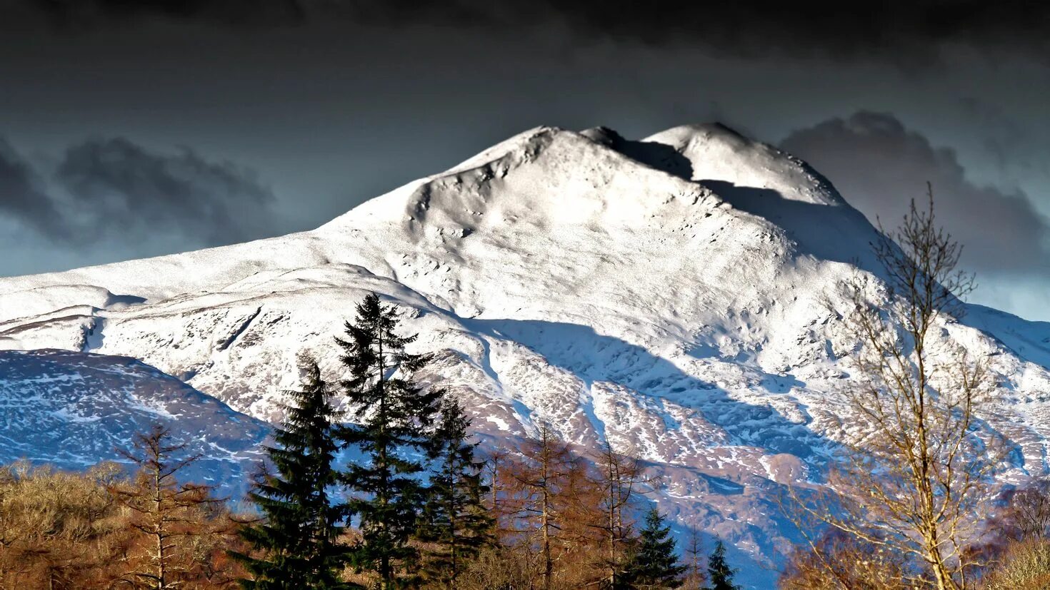 Горы лес альпы. Как называется гора со снегом. Горы снежные вершины. Сноу маунтин. Заснеженные горы.