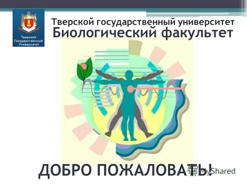 корогодина дарья биофак мгу. биологический факультет твгу. государственный университет биологический факультет. горин мгу биологический факультет. лаборатория биологический факультет мгу.