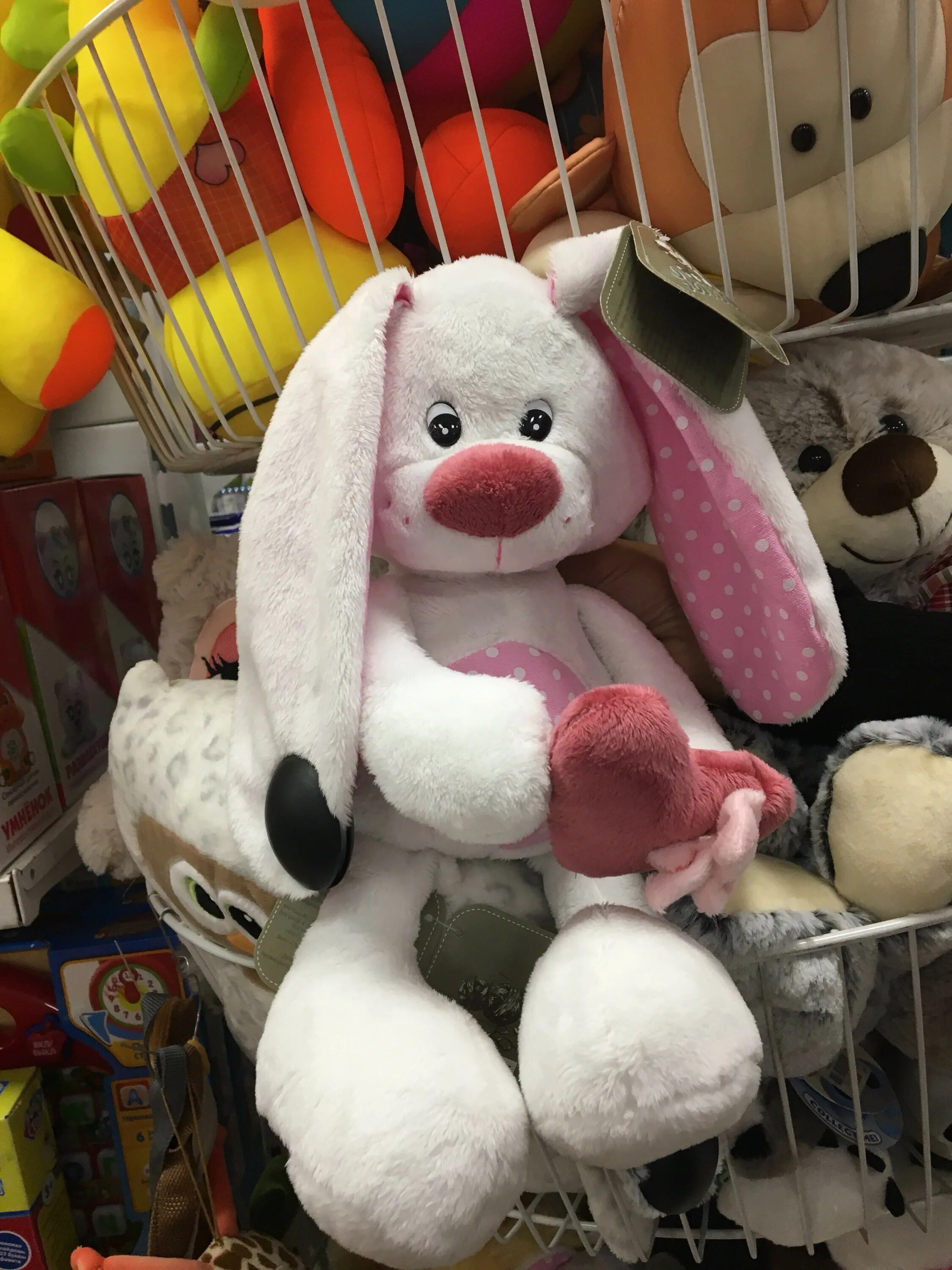 Совята бердск. 100 совят новосибирск академгородок. Волшебные трафареты. Улица ленина бердск. Совята бердск.