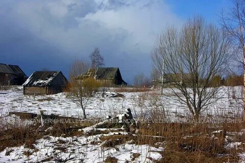 Погода в новгородской высокое