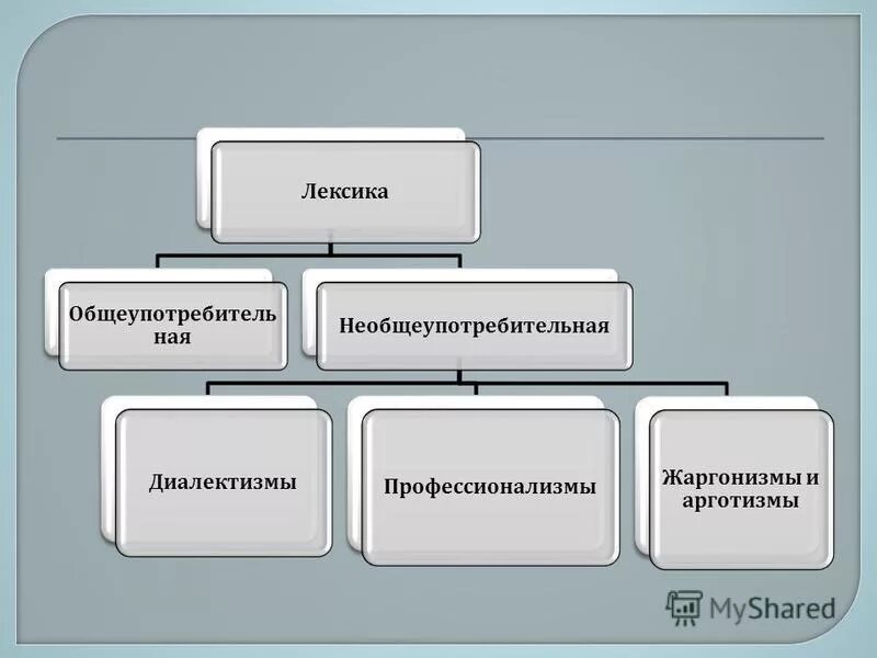 В современной лексике обществами