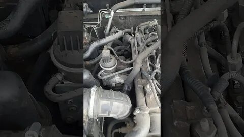 Hover 2.0 дизель