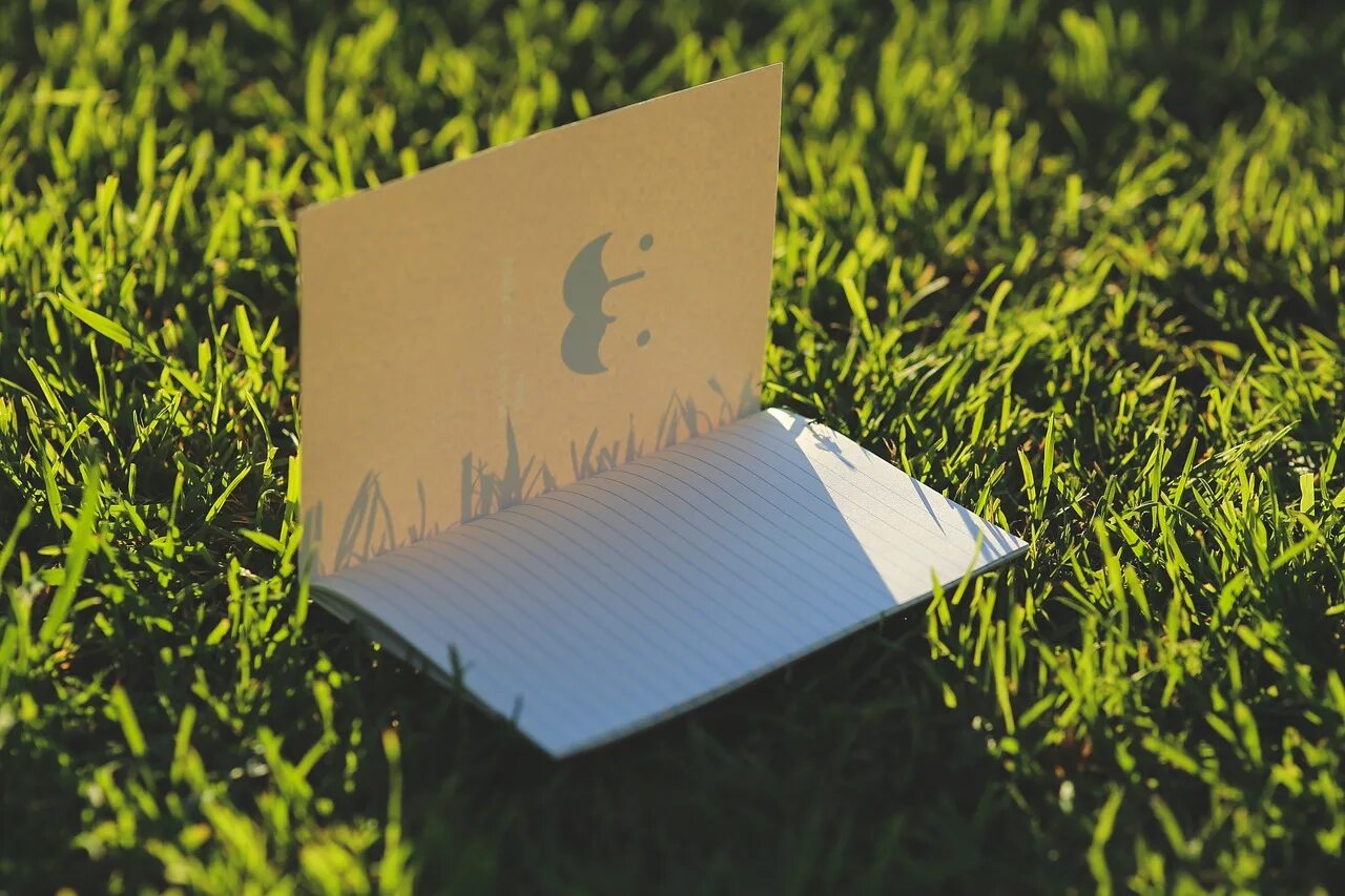 You my notebook