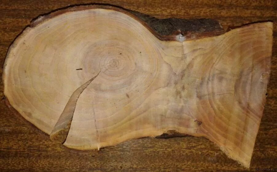 Как высушить дерево. Как высушить дерево. Сушка древесины. Сушка спилов дерева без трещин. Сушка дуба технология.