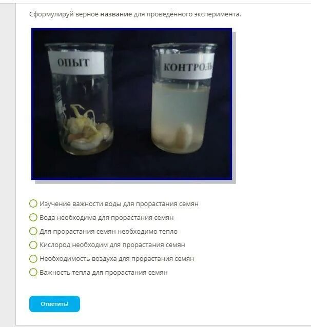 Выберите верно сформулированную. Выберите верно сформулированную