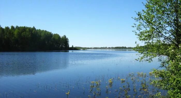 Карстовые озёра, лесопарк, Россия, Новгородская область, 49Н-1826 - Яндекс.Карты
