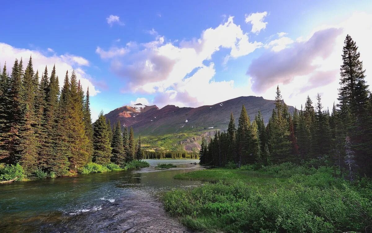 Наша планета мир вокруг нас. Моря океаны леса и поля. Блу-маунтинс (горы, сша). Горы лес река. Штат вайоминг природа.
