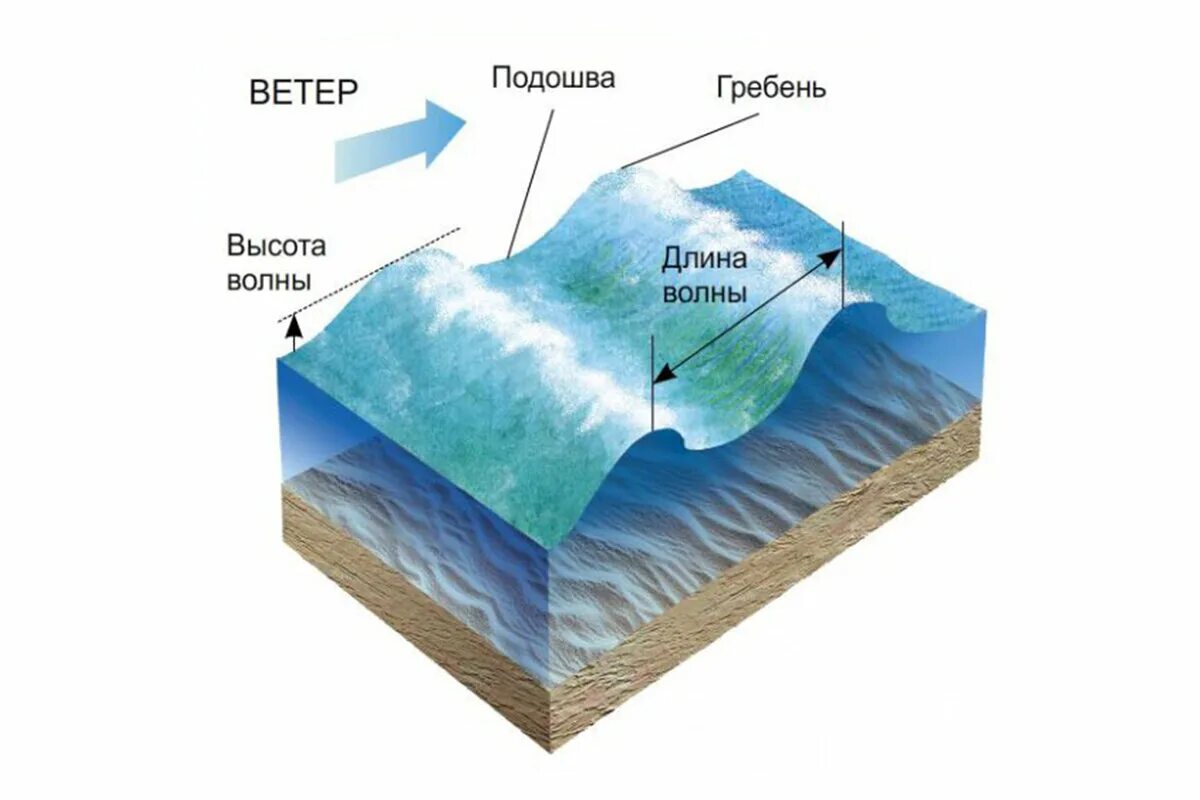 Движение волн. Строение ветровой волны схема. Строение волны схема. Строение волны 6 класс география. Элементы волны схема.