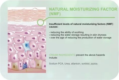 Is the cause of reducing