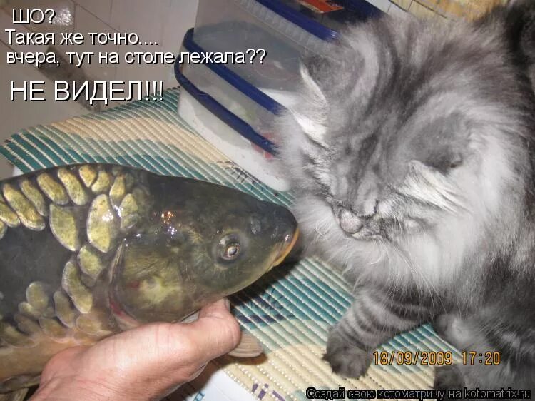 вы точно с папой в цирк ходили. дерзкие фразы для девушек. ну что же ты что ты потупила взор сдавайся ведьма ночной дозор. точнее вчера. U haul plymouth mi.