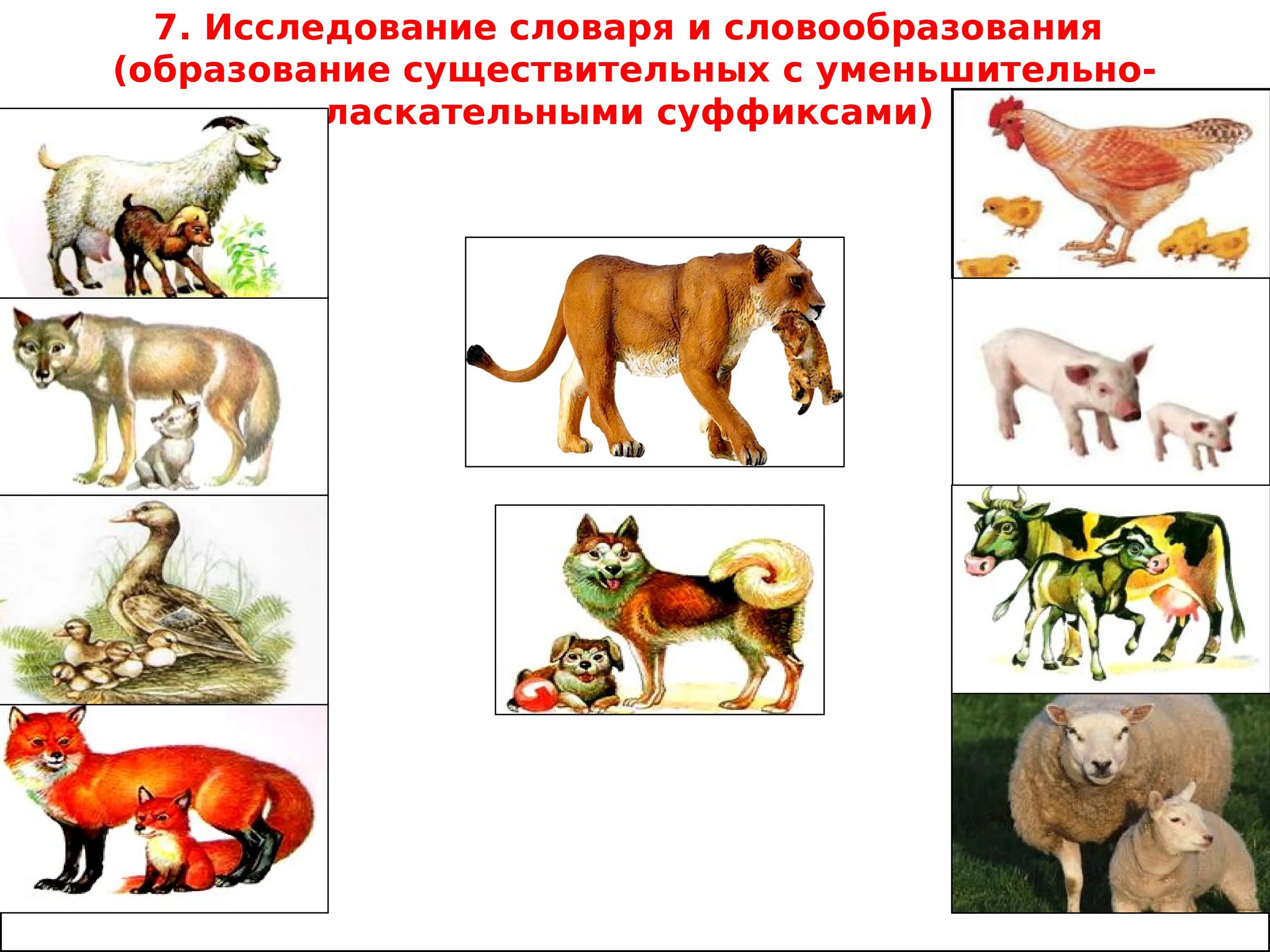 Методика Фотековой. Диагностика по Фотековой. Тестовая методика Фотековой для младших школьников. Тестовая методика по Фотековой наглядный материал. Методика фотековой т а