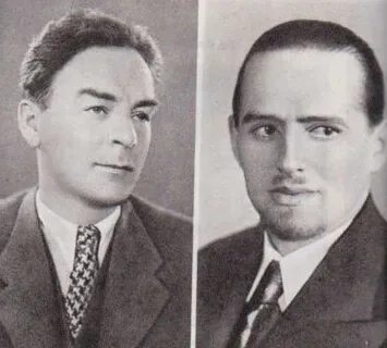 Братья васильевы