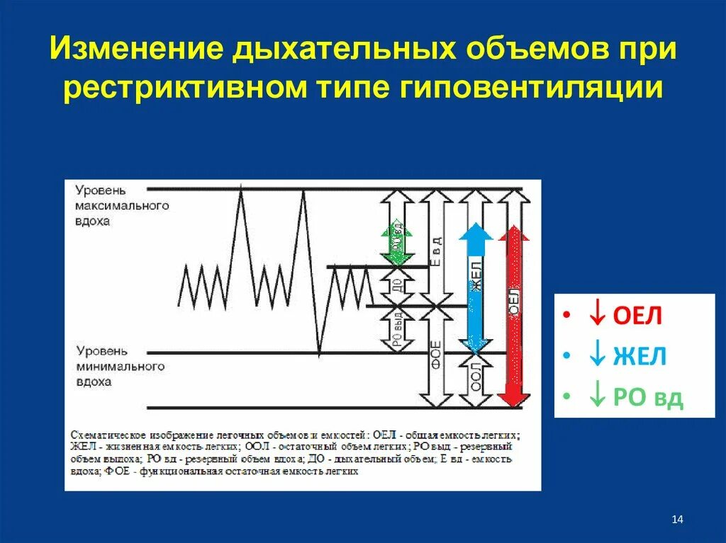 Изменения объема легких. Рестриктивная гиповентиляция патогенез. Обструктивный и рестриктивный типы дыхательной недостаточности. Патогенез обструктивной дыхательной недостаточности. Виды дыхательных объемов.