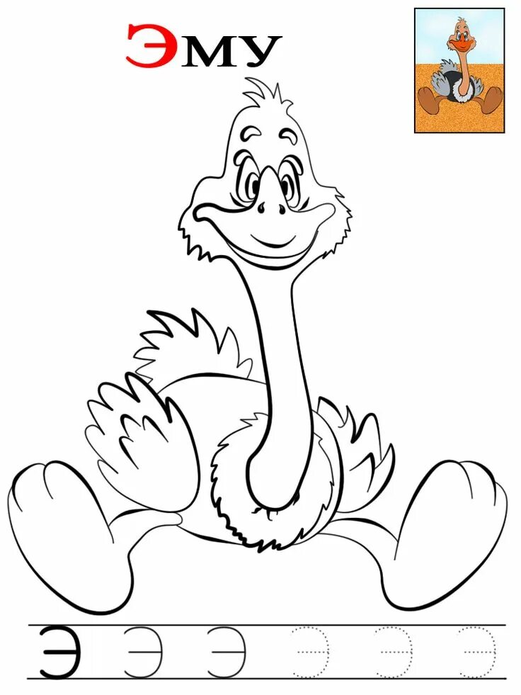 Буква э страус эму. Животные на букву э. Животных на букву э. Зверь на букву э. Гордый страус.