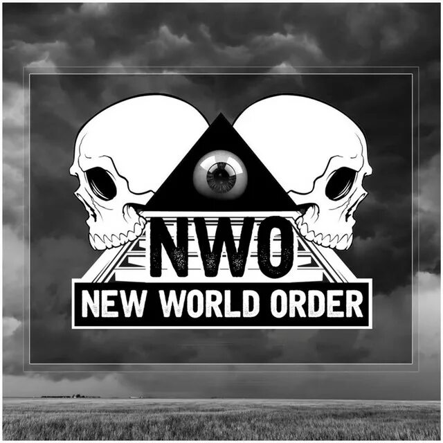 The new world order. New world order. new world order nwo. new world аватарка. картинки new world order.