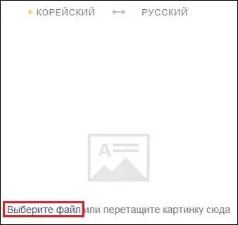 Корейский переводчик через камеру