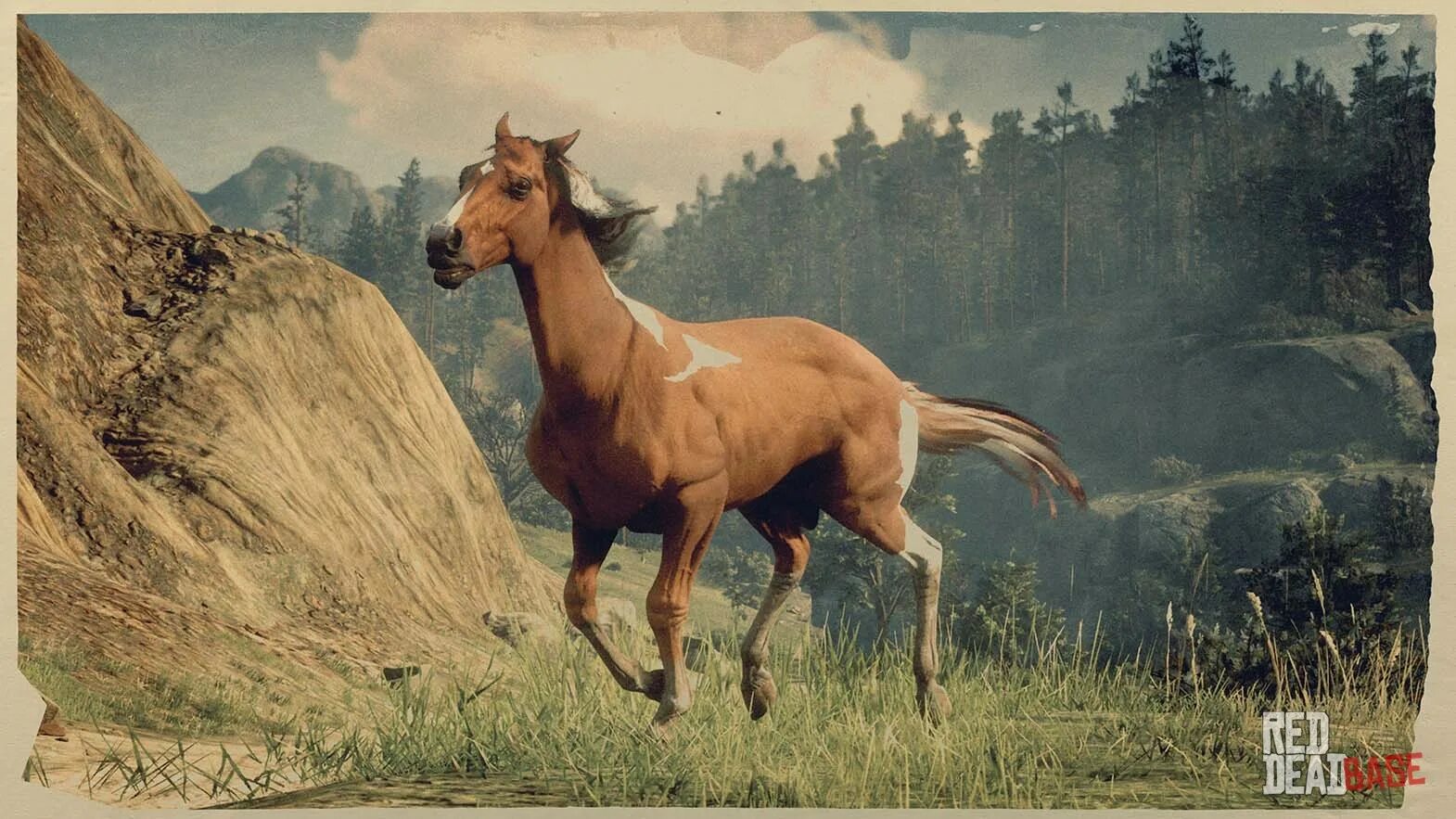 Rdr 2 ахалтекинская лошадь. Red dead redemption 2 венгерская лошадь. Red dead online ахалтекинская лошадь. Red dead redemption 2 ахалтекинская. Рдр 2 ахалтекинская.