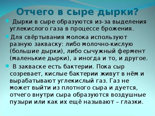 Почему в сыре дырки. Почему в сыре есть дырочки. Как получаются дырочки в сыре. Откуда в сыре дырочки.