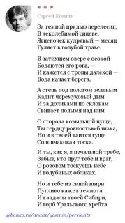 За темной прядью перелесиц